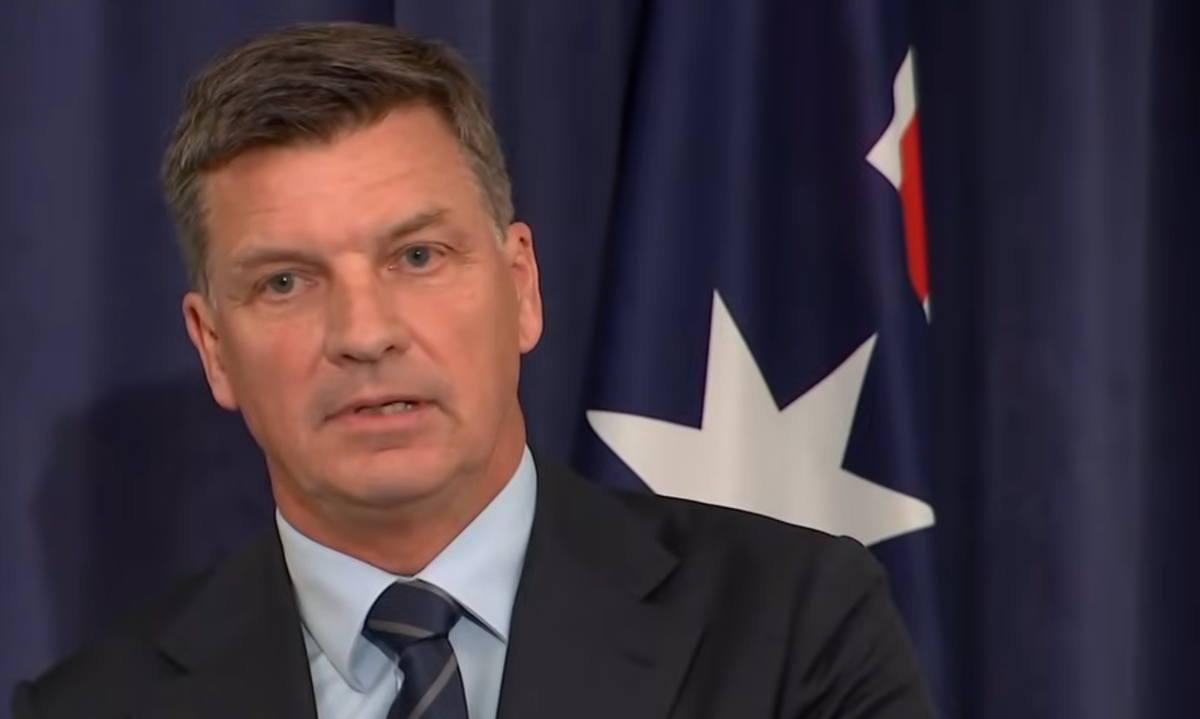 angus taylor